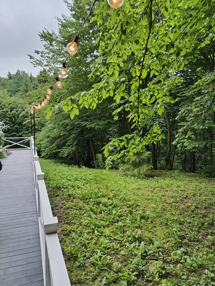 Лісовий майданчик у ресторані